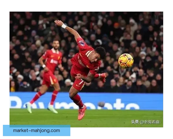 2025夏季转会窗口布伦特福德锋线新星动向分析