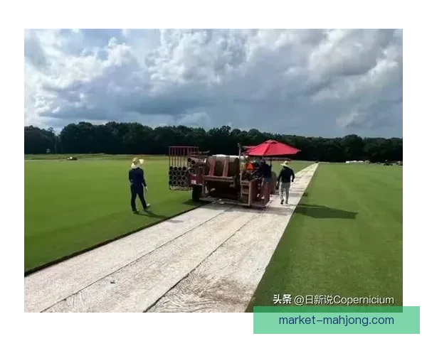 2026年世界杯将首次启用地下排气系统保障草坪质量