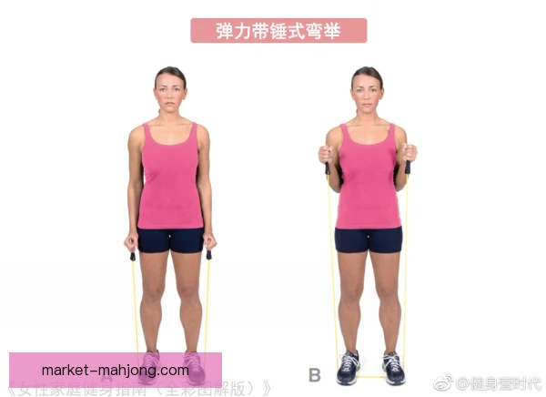 综合格斗上肢耐力：专项循环训练突破极限